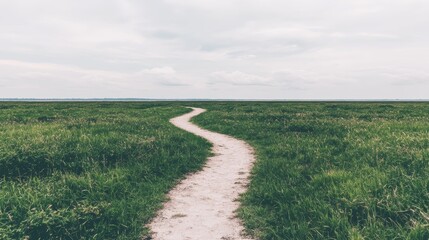 Fototapeta premium Winding Path Through Serene Grassland Towards Horizon