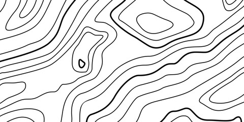 Abstract Contour Topographic Line Pattern in Black and White
