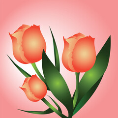 This is a digital illustration of tulip flowers, showcasing a cluster of three blooming tulips with a smooth gradient of warm coral and peach tones.Isolated with gradient backgroubnd ,Eps 10.

