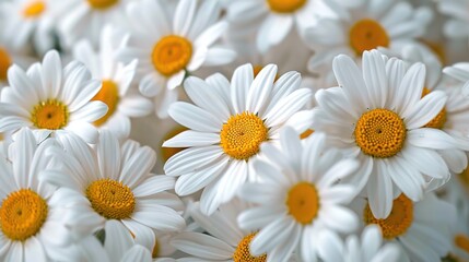 Obraz premium daisy seamless pattern wallpaper