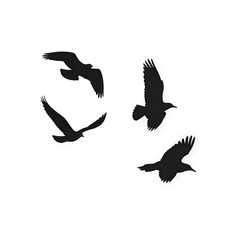 Obraz premium Elegant Flight of Four Birds Silhouette Image, birds in flight
