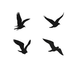 Obraz premium PNG Image of Four Flying Bird Silhouettes in Black, set of silhouettes of birds