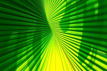 Green palm leaf Beautiful lines