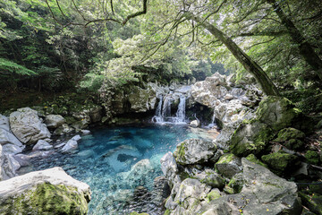 숲과 암석에 고여있는 물과 폭포수 제주 서귀포시 상효동 원앙폭포