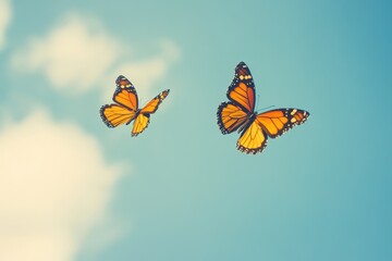 Colorful butterflies fluttering gracefully against a clear blue sky on a sunny day
