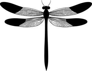 dragon-fly silhouette