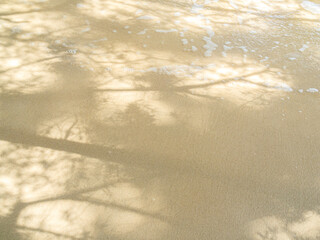 Shadow leaf on wave sea blue summer background with sand beach at coast island scene mockup water nature travel vacation holidays tropical, mockup ocean ecosystem energy change environment.