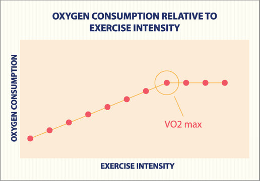 VO2 Max and Exercise Intensity Graph