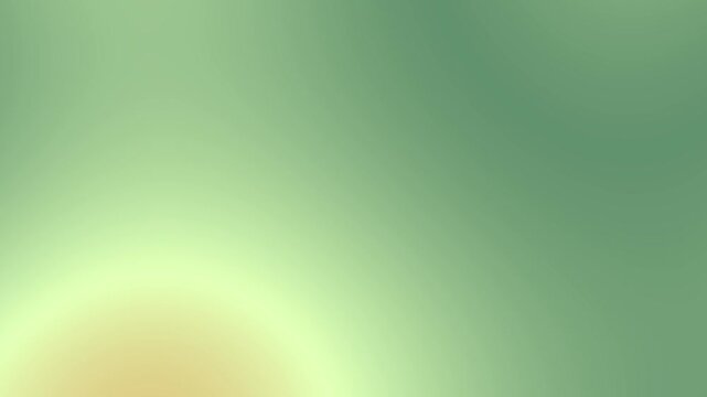 Khaki background with animated Seashell light.