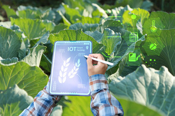 Smart farmer or organic farming Check quality control of fresh green vegetable products Concept of digital information technology for smart agriculture
