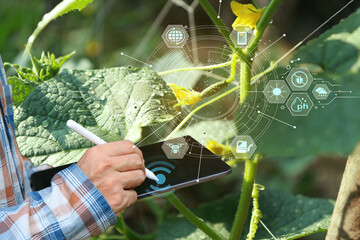 Smart farmer or organic farming Check quality control of fresh green vegetable products Concept of digital information technology for smart agriculture
