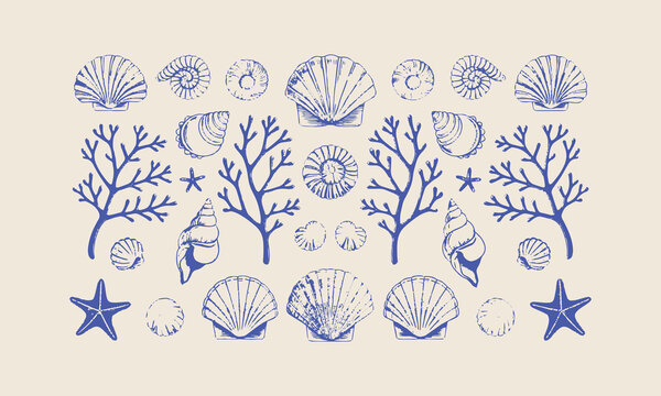 Sea life seamless pattern with shell and starfish of illustration, Sea shells vector seamless pattern, Set of sea and ocean underwater animals., easily editable.