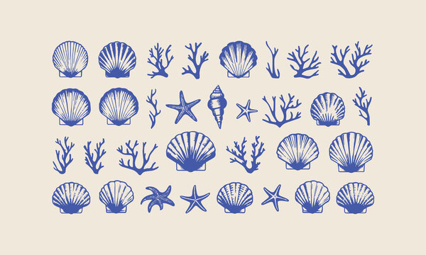 Sea life seamless pattern with shell and starfish of illustration, Sea shells vector seamless pattern, Set of sea and ocean underwater animals., easily editable.