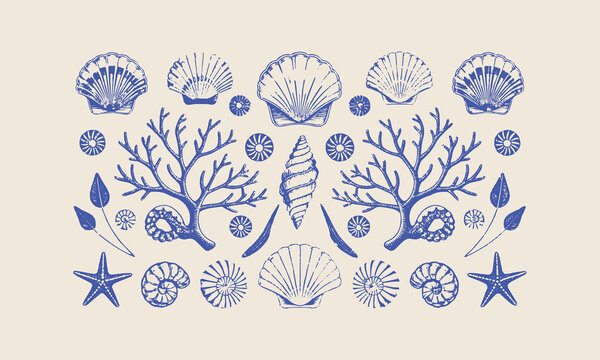 Sea life seamless pattern with shell and starfish of illustration, Sea shells vector seamless pattern, Set of sea and ocean underwater animals., easily editable.