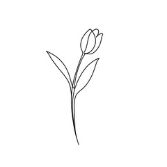 Obraz premium Flower and plant continuous single line art drawing. Tulip flower minimal art style. Tulip flower continuous line art illustration.