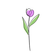 Flower and plant continuous single line art drawing. Tulip flower minimal art style. Tulip flower continuous line art illustration.