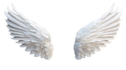 Obraz premium angel wings isolated on white background 