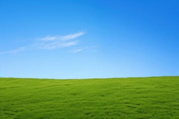 Fototapeta premium Serene grassy field under sky