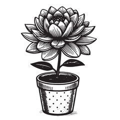 Black and White Vector Flower in a Pot on a Transparent Background