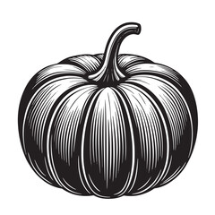 Black Vector Pumpkin Vegetable on a Transparent Background
