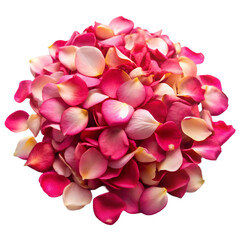 Fototapeta premium Pile of rose petals isolated on transparent background