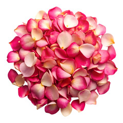 Obraz premium Pile of rose petals isolated on transparent background