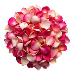 Fototapeta premium Pile of rose petals isolated on transparent background