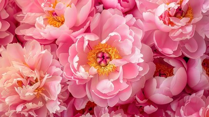 Fototapeta premium flower seamless pattern wallpaper