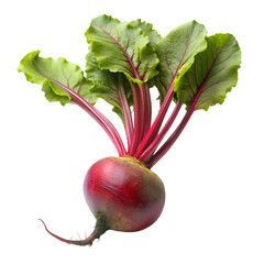 Beetroot isolated on transparent background