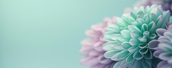 Layer abstract background idea. Soft pastel petals create a serene backdrop with beautiful floral textures and patterns.