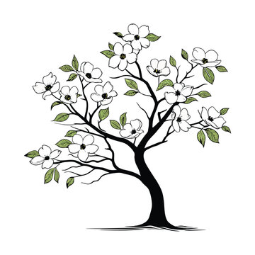blooming tree black white green leaves clip art preview