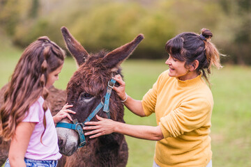Woman and girl showing affection to donkey in animal sanctuary in quiros, asturias