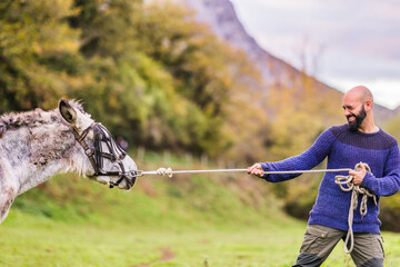 Tug of war with donkey stubborn disappointment business humor concept. Leadership communication