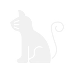 Cat icon in flat color style