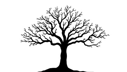 Fototapeta premium Silhouette of a Bare Tree in Winter