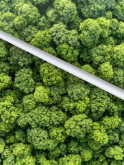 Close-up Photo: Lush Green Moss Wall Texture with Diagonal White Line Mockup. AI Generated