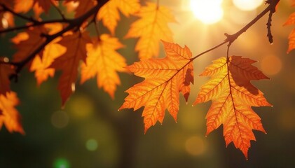 Oak branchlets adorned with brown leaves in a patch of warm sunlight filter through, tree branches, brown leaves