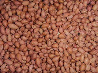 Raw peanut kernels ready for processing, photographed from an overhead perspective for graphic use.