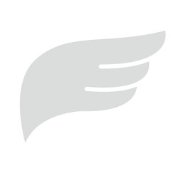 Wing icon in flat color style