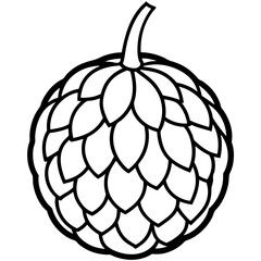 Minimalist Sugar Apple Line Art
