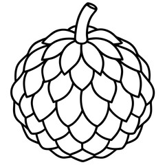 Minimalist Sugar Apple Line Art