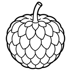 Minimalist Sugar Apple Line Art