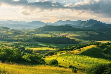 Obraz premium Mountains with field landscape grassland panoramic.