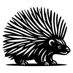Porcupine Sketch Illustration.