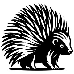 Porcupine Sketch Illustration.