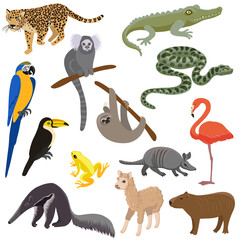 Naklejka premium vector drawing animals of South America isolated at white background, hand drawn illustration, natural design elements