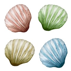 Colorful seashell illustrations arranged in a decorative pattern for artistic display