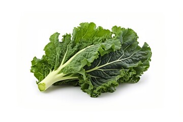 Kale vegetable plant food.