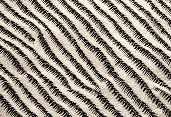 Close-up of a Textured Fabric with Diagonal Striped Design. This close-up shot displays a striking textured fabric