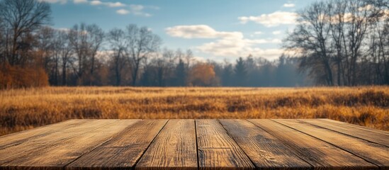 Wooden table autumn field background